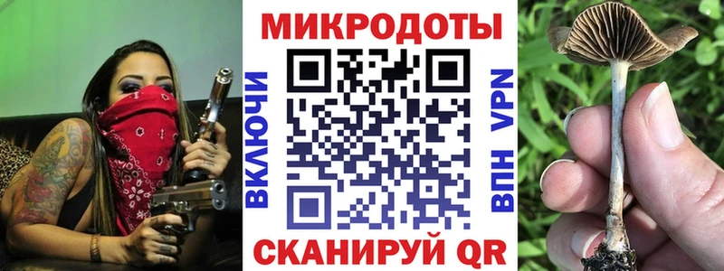 Галлюциногенные грибы Psilocybine cubensis  Алапаевск 